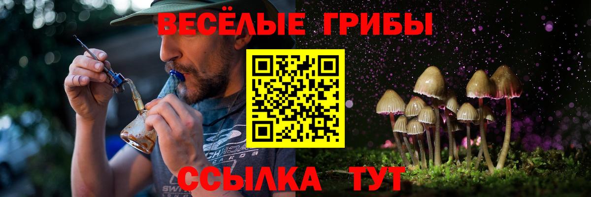 Псилоцибиновые грибы Magic Shrooms Чапаевск